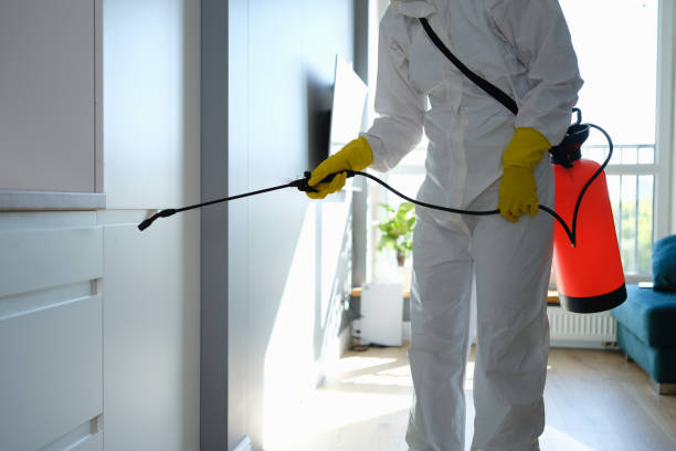 Best Mold Remediation  in Midland, TX