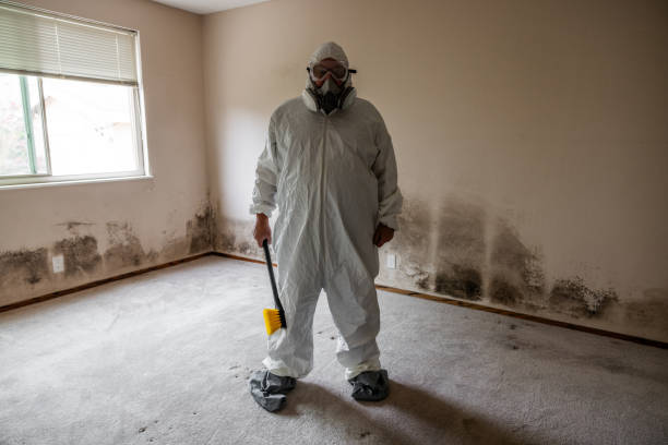 Reliable Midland, TX Mold Removal Solutions